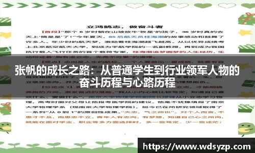 张帆的成长之路：从普通学生到行业领军人物的奋斗历程与心路历程